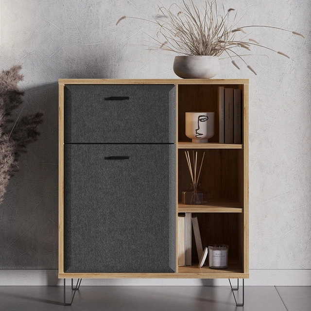 DSTPEL Case