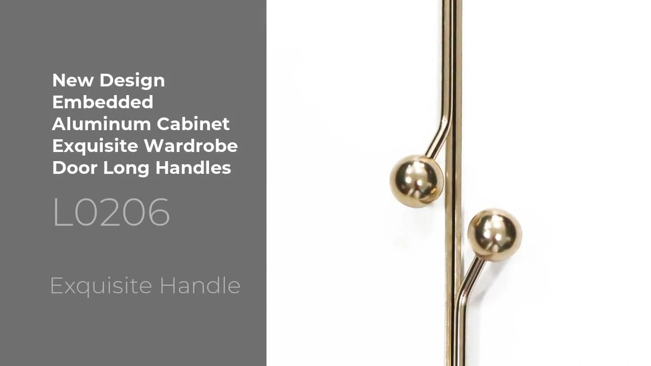 New Design Embedded Aluminum CabinetExquisite Wardrobe Door Long Handles